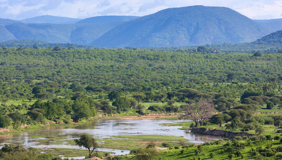 Great Ruaha River