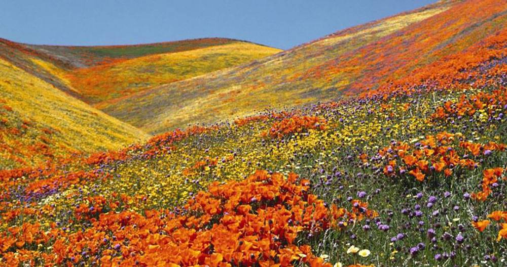 Kitulo Plateau