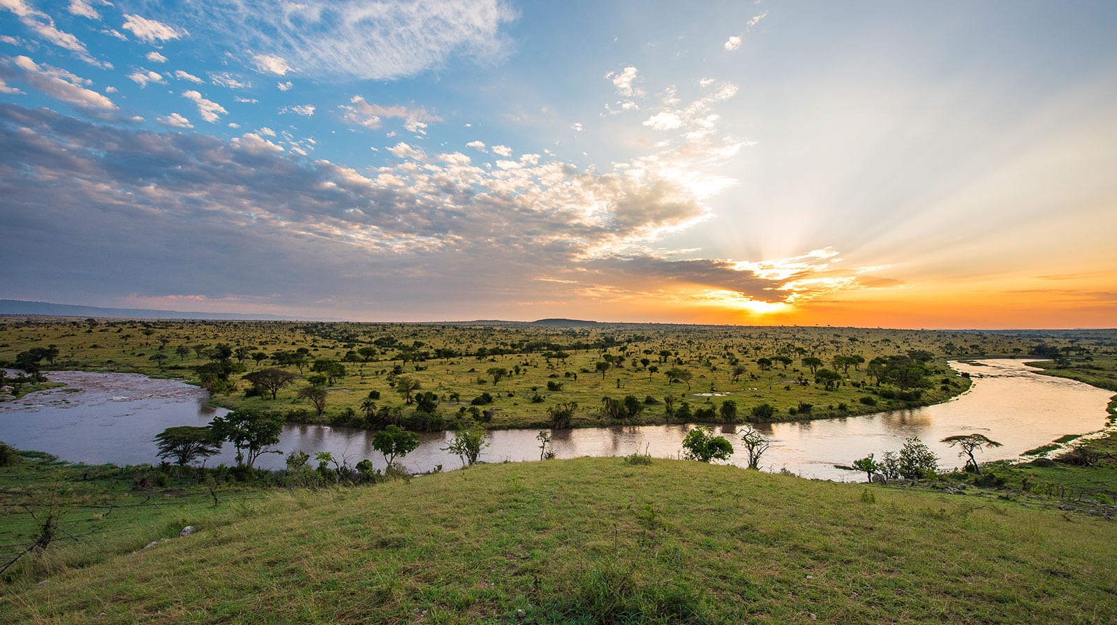 Mara River