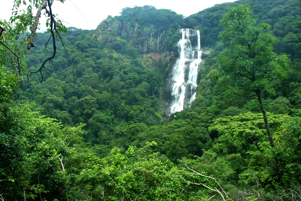 Sanje Waterfall cascading through forest