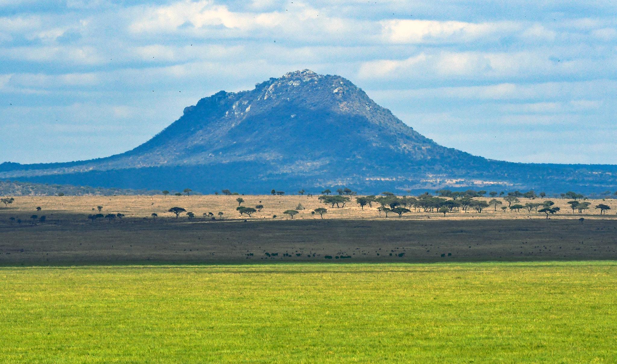 Silale Swamp