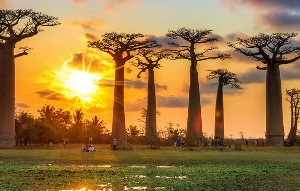 Sunset in Baobab Valley