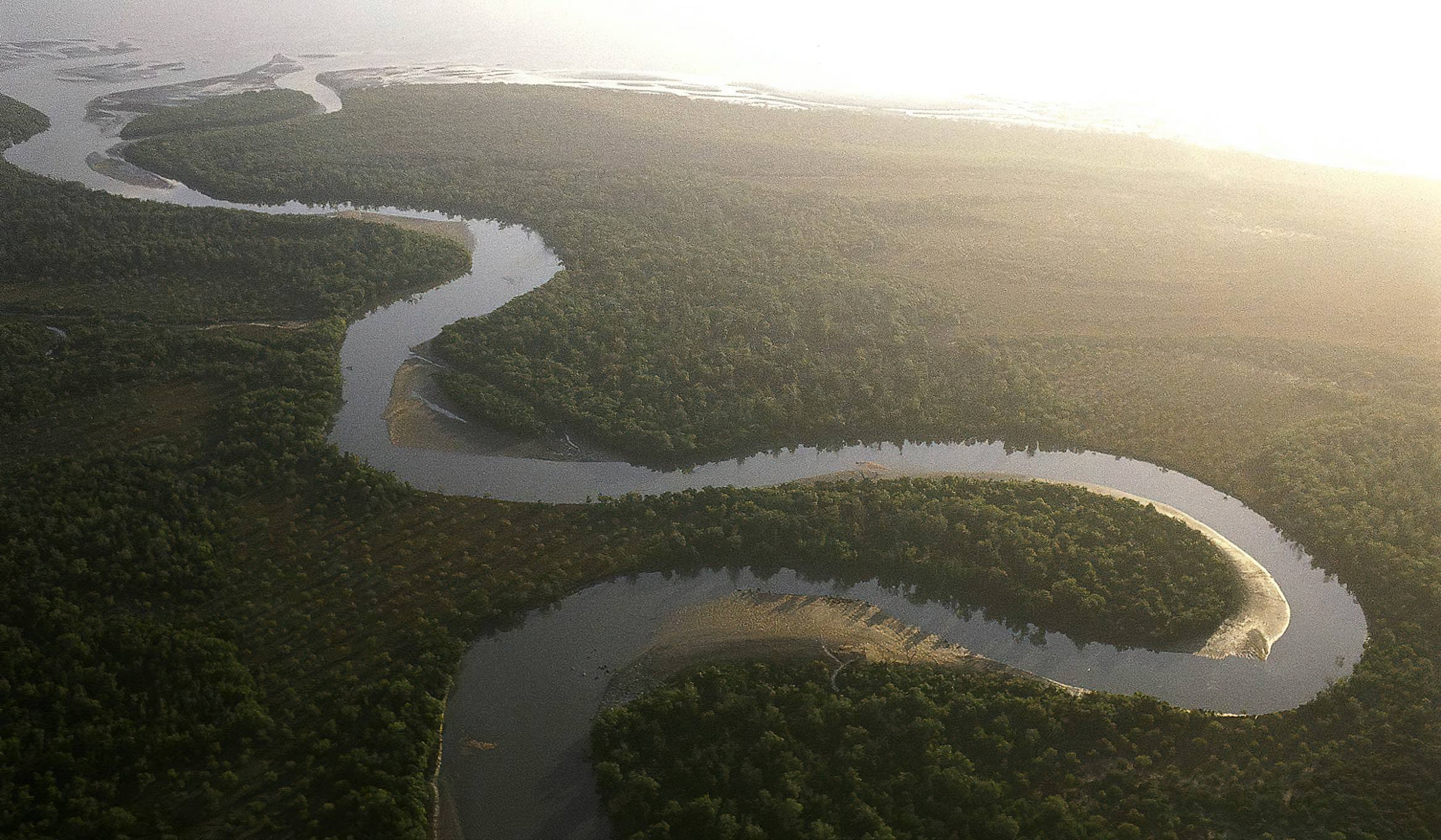 Wami River